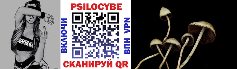 Галлюциногенные грибы Magic Shrooms где можно купить Лабинск